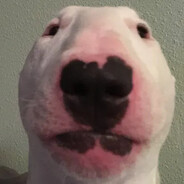Beardaru's avatar