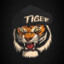 ●°TIGRE°●