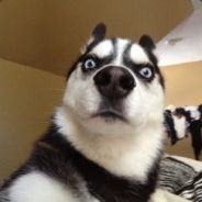 Артём Козлов♐☭ - steam id 76561197961196636