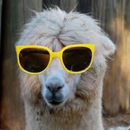 (ಥ_ಥ) Sad Llama #VACBAN