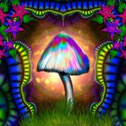 D jan Clode Terminator