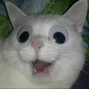 她的学历没有水分