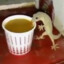 Lizardon_HF
