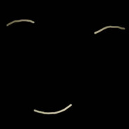 山茶花开在年糕里