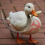 CapitalistGoose