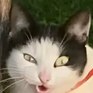 MuHehehe - steam id 76561198822561987