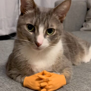 Flick_demon CSGOSKINS - steam id 76561199516015011