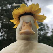 重生之魔童降世