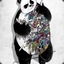 Matt_Team(The*Panda)_Finance