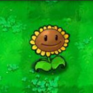 冲吧！！！牛牛