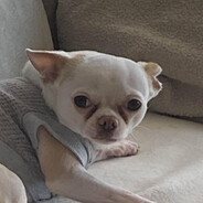 szymachu's avatar