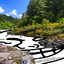 those who flow: