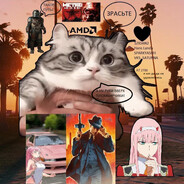 чиловый кот