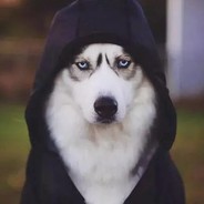 女人只会影响我手速