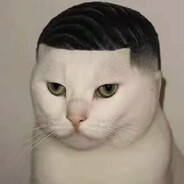 1ภtɛภรเשɛ  