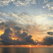 爱我琨吧的鸡哥