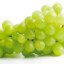 winogrono
