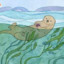 Mr. Sea Otter