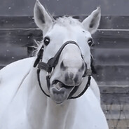 我是上等马 给我田忌吧