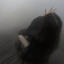 mist