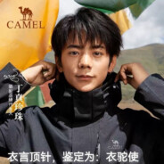 人生南北多岐陆