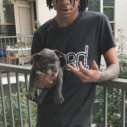 idot - steam id 76561198799528421