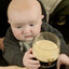 pintbaby