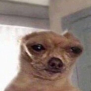 t1mmi (gambling addict)