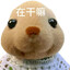安顺财