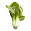 BokChoiii