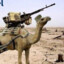 Tactical Camel