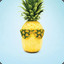 indifferentpineapple