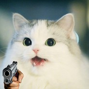 KillerKat