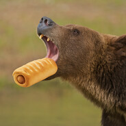 Bjørnen der elsker pølsehorn - steam id 76561199806627767