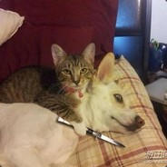 一人一句VKG牛逼来