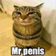 Mr. Penis