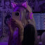 [kqvi] FrostyQueen