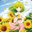 风见幽香