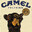 CAMELL