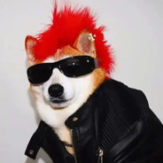 我的爱是垃圾 我也是