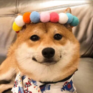 去码头整点薯条