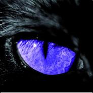 V///enom?!  | Pvpro.com