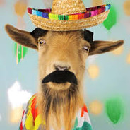 señor goat with a sombrero!