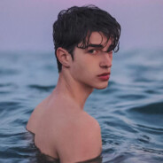 冰岛电子狗也会西化吗