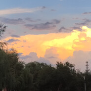 乱枪打死老师傅