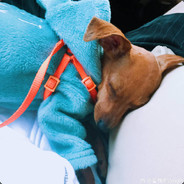 给自己俩嘴巴子