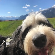Pomml - steam id 76561197960283788