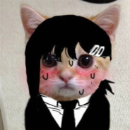 小馋猫烤肉拌饭