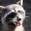 This Fucking Racoon