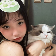 ZiZ1Tou_